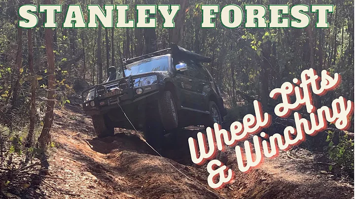 Stanley Forest  - Long Tom Bypass Track