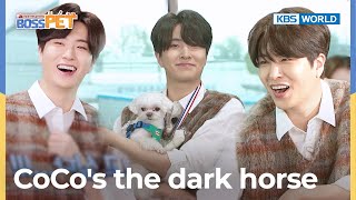 Youngjae and CoCo won first place 🏆🏆🏆 [Boss Pet : EP.19-1] | KBS WORLD TV 221105