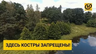 Места в Минске, где ни в коем случае нельзя разводить костры