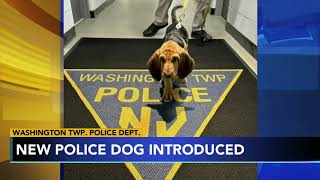 Meet 'Red': New Jersey police introduce new K9