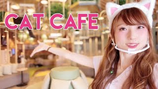 Japan's Cat Cafe | Neko Cafe MOCHA Akihabara, Tokyo【4K】@Rambalac