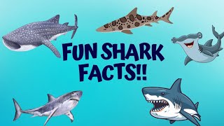 Amazing Facts about Sharks for Kids!!