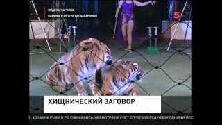 Хищнический заговор Хищнический заговор