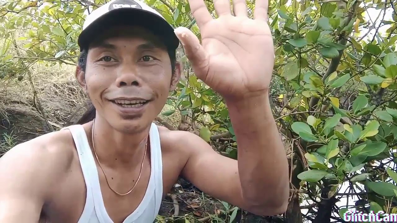 cara bikin umpan ikan blanak langsung tes strek