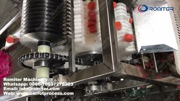 Multi-Blade Type Carrot Segment Cutting Machine