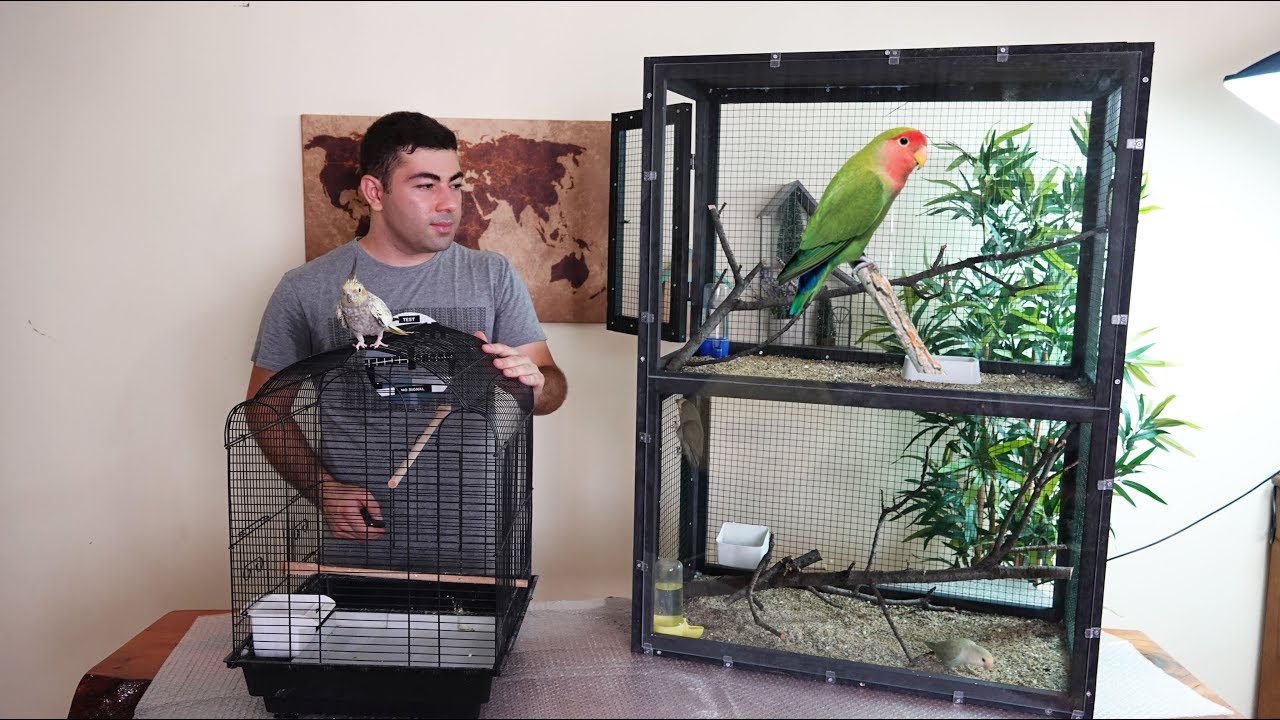 How to make wood parrot cage - YouTube