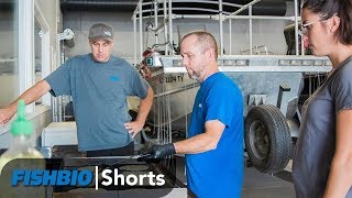 FISHBIO Shorts | Homemade Everything