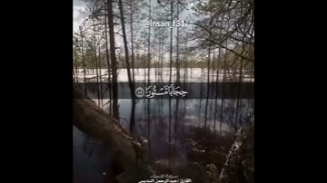أرح قلبك -قرآن كريم بصوت السديس /حالات واتساب دينية /مقاطع دينية قصيرة /مقاطع إنستقرام دينية