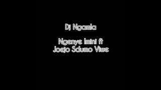Dj Ngamla Ngenye Imini Feat Joejo Sdumo Viwe