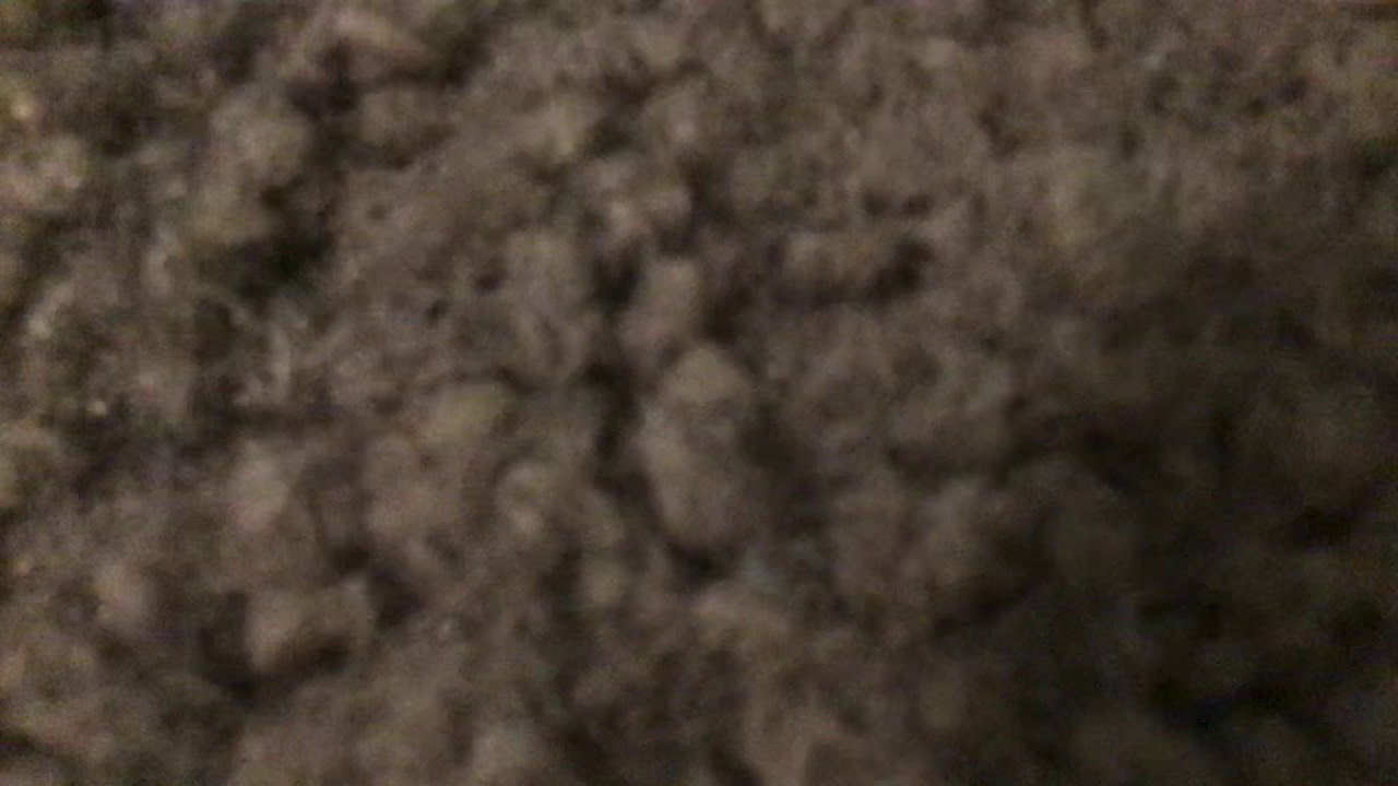POV: you’re an ant getting stomped on - YouTube