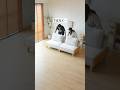 🛋️自由自在のくつろぎスタイル✨【3人掛けソファベッド 分離式】