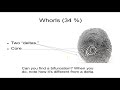 Fingerprint Patterns and Their Unique Features