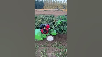 Máy xới đất mini này cày xới nhanh lắm các bác ạ  #nông_nghiệp #may #mayxoidat #shorts #dienmayvina