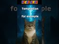 What does "Temptation" mean? | Learn English Vocabulary