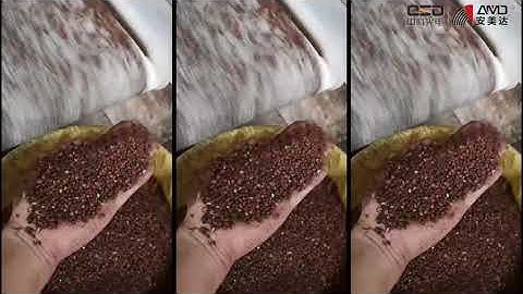 High Capacity AMD Sichuan Peppercorns Color Sorter Machine for Green Prickly Ash Sorting
