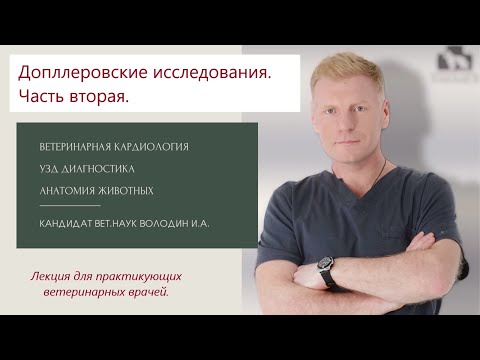 Допплеровские исследования часть