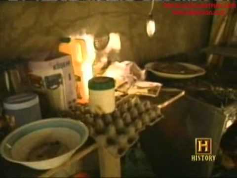 movie about saddam hussein capture movie about saddam hussein capture