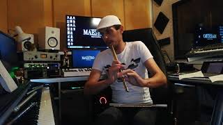 Potpuri me 7 flauta (bilbila) Irlandez - Agron Pllumaj Resimi