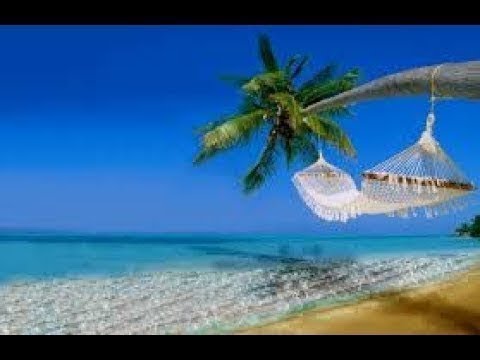 camera iphone 8 plus apk Hawaii 4K Drone Waiting For You Phantom 4 Pro Drone