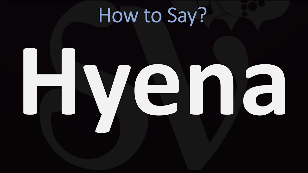 How to Pronounce Hyena? (CORRECTLY) YouTube
