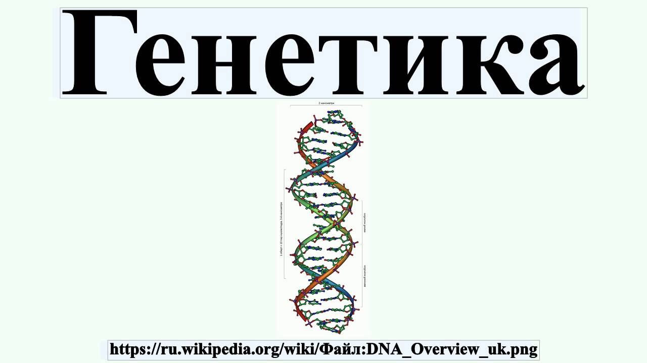 Генетика челябинск. Генетика растений. Ютуб генетика человека. Генетика надписи на доске. J1 генетика.