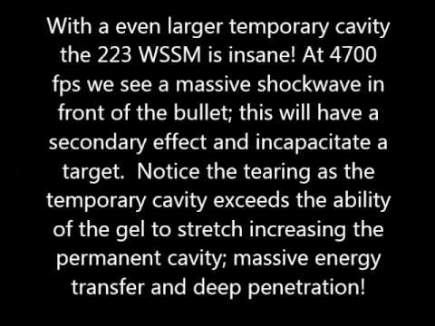 243 Wssm Trajectory Chart