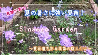 【ガーデニング】夏の暑さに強い宿根草！｜簡単に立体感の出る夏苗を花壇へ植付け｜夏のブルーガーデン！【宿根草・多年草】