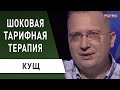 Власть "слилась": дешевых тарифов не будет! "Титушки" будут выбивать долги - Кущ : Кабмин, субсидии