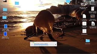 Audio Assignment 1 Pt1 Logging into the CAPNAS and Importing audio
