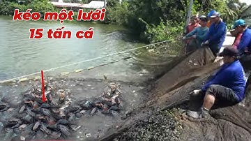 Ao Cá Bỏ Hoang Lâu Năm Bất Ngờ Kéo Một Lưới 15 Tấn Cá Các Loại