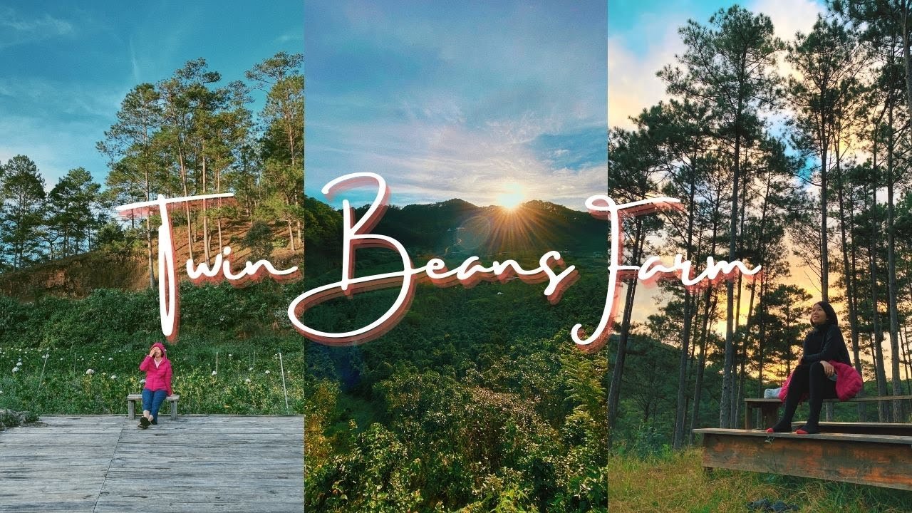 Twin Beans Farm Đà lạt YouTube