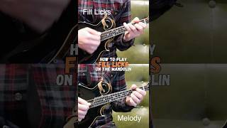 Fill Licks: Lesson Preview (Mandolin)