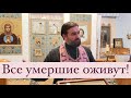 "Почему наши тела не мусор". Протоиерей  Андрей Ткачёв.