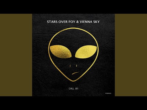 Call 911 NYPD Version 