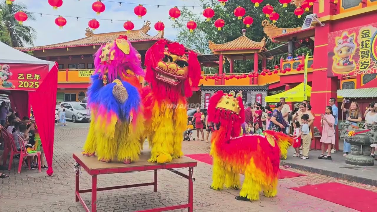beijing nothern lion dance performance in Sabah