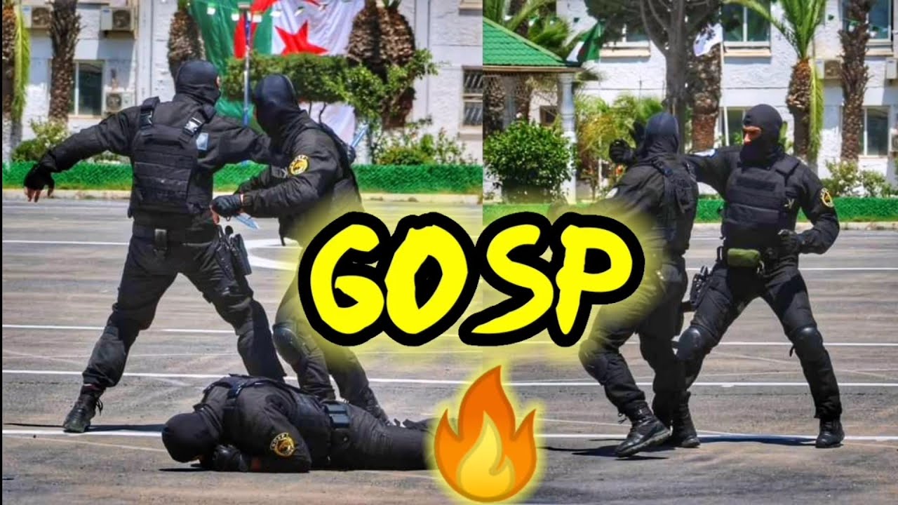 شاهد مهارات الفرقة الخاصة GOSP 🔥 استعراض مهني قوي من فرقة جمهرة العمليات الخاصة الشرطة الجزائرية
