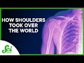 How Shoulders Took Over the World (ft. Emily Graslie!)