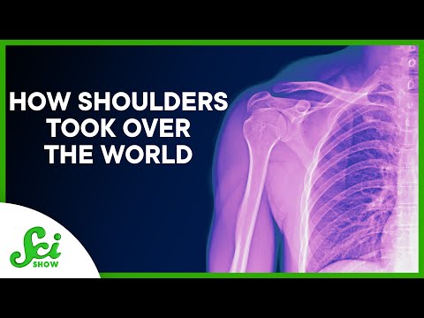 How Shoulders Took Over the World (ft. Emily Graslie!) on YouTube