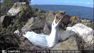 SIM1 2026 04 16 at 14 07 07