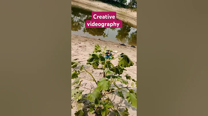 How to do  videography #creative  #videography #shorts #howto #howtomake #how
