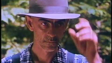 Cradle of Forestry "Forest Story"