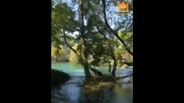 ﴿وَيَخِرّونَ لِلأَذقانِ يَبكونَ وَيَزيدُهُم خُشوعًا ۩﴾ بصوت القارئ وديع اليمني