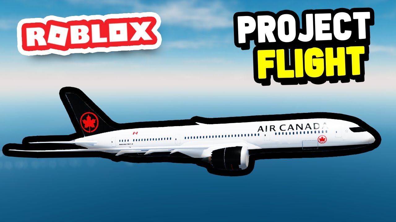 The Players, Roblox Airplane Story Wiki