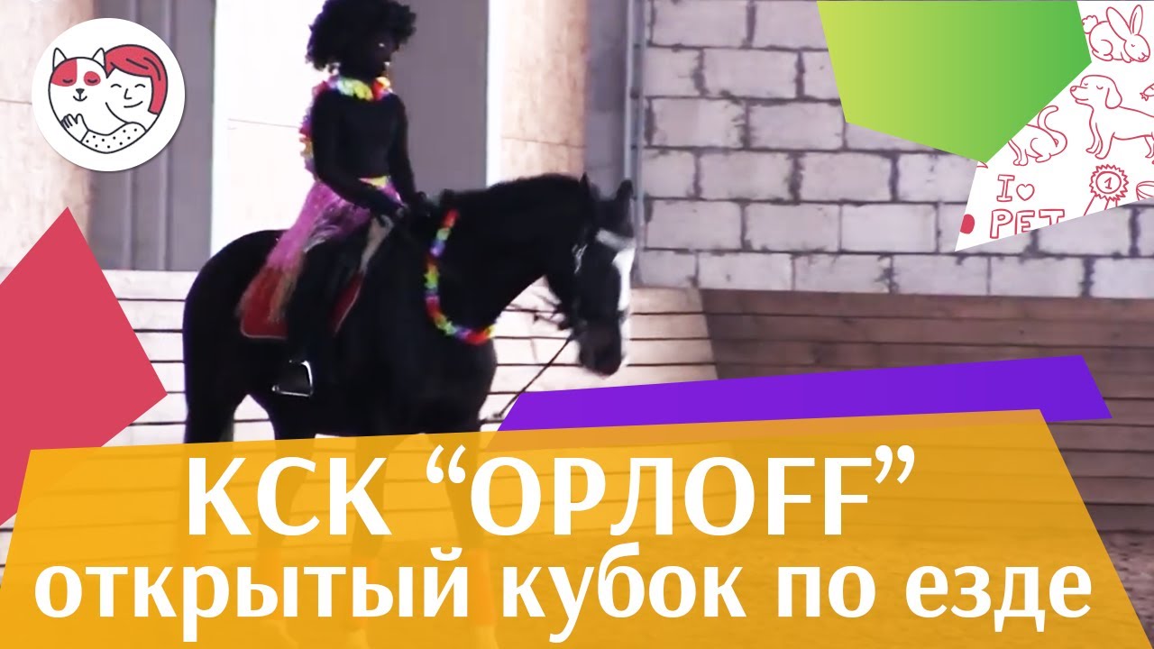 питомцы кукол лол Открытый кубок КСК Орлоff Выездка 3 на ilikepet