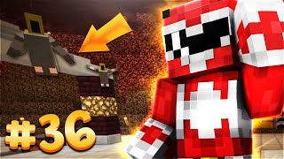 MATES In MINECRAFT - NON PUO' ESSERE SUCCESSO ANCORA! #36