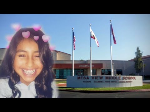 bullied-13-year-old's-organs-to-be-donated-following-suicide