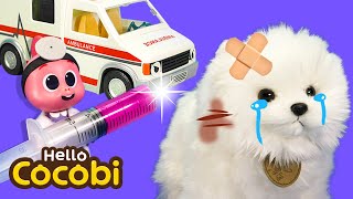 강아지가 다쳤어요! 영어 수의사 동요 Boo Boo Song Compilation | Vet & Doctor Song for Kids | Hello Cocobi screenshot 5