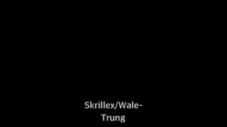 Trung-Skrillex/Wale good quality