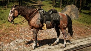 CABALLO ZOMBI | RED DEAD REDEMPTION 2