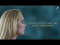 Adele - Strangers By Nature (Official Lyrics Video) | Vietsub Version